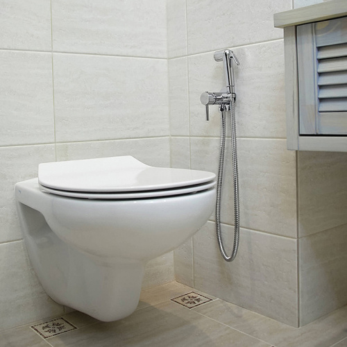 Гигиенический душ со смесителем Paini Imola 53CR442RRU ABS Хром фото 3