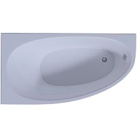 Акриловая ванна Aquatek Eco-friendly Дива 170х90 L DIV170-0000002 без панелей, каркаса и слив-перелива